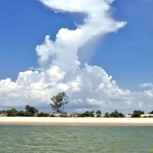 Antsanitia moana majunga