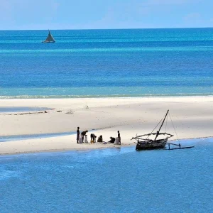 Antsanitia moana majunga