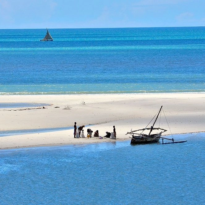 Antsanitia moana majunga