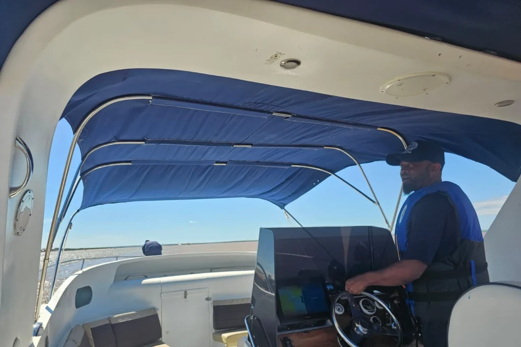 Safari baleines (selon la saison)